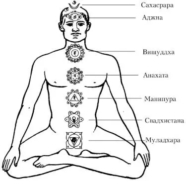 Рисунок 1 Чакра Муладхара находится в области копчика и промежности ей - фото 1