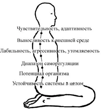 Рисунок 10 Последовательное включение центров посредством механизма - фото 22