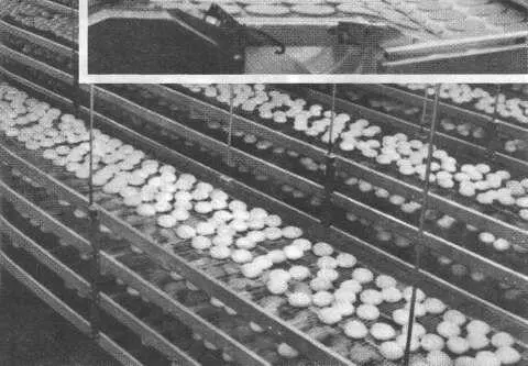 Когда Рэи Крок женился на Джоан Смит 31 в 1968 г он отошел от ежедневного - фото 30