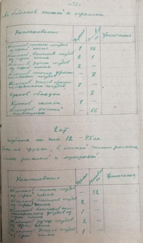 Чечня археологическая или Случайная находка Кавказской Нефертити Документальный очерк к истории вайнахов - фото 78