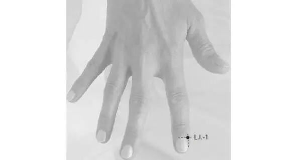 Шанян Точка GI2 эрцзяньРасположена на лучевой стороне указательного пальца - фото 12