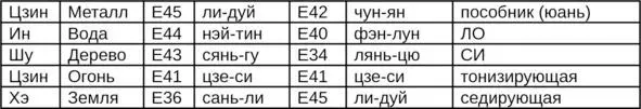 МЕРИДИАН ЖЕЛУДКА ЦЗУЯНМИНВЭЙЦЗИН МЕРИДИАН СВЕТЛОГО ЯН НА НОГЕ Желудок - фото 22