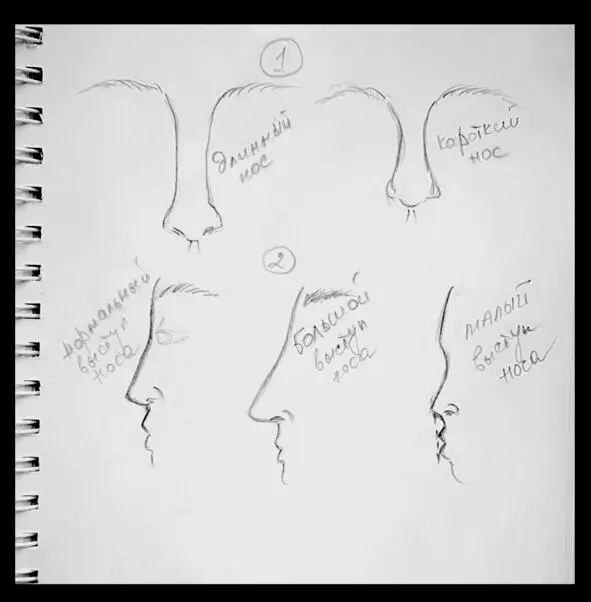 В пункте 1 приведены примеры длины носа относительно лица Длинный нос у людей - фото 11