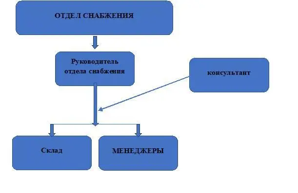 Рис 21 Организационная структура отдела снабжения Функцию консультанта - фото 2