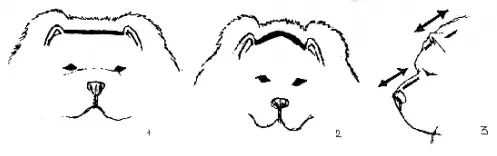 Рисунок из личного архива автора статьи источник www vlukidog3bbru Тяжелые - фото 15