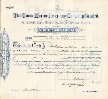 Именное свидетельство на акцию 1902 года Хотя Закон о пособиях по - фото 47
