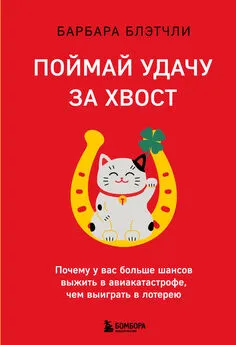 Барбара Блэтчли - Поймай удачу за хвост. Почему у вас больше шансов выжить в авиакатастрофе, чем выиграть в лотерею