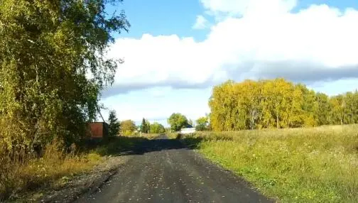 Грунтовая проселочная дорога Дорога с разделительными полосами Дорожное - фото 24