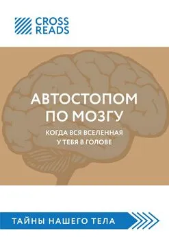 Майя Бызова - Саммари книги «Автостопом по мозгу. Когда вся вселенная у тебя в голове»