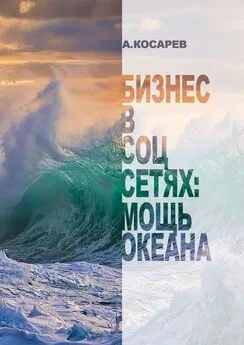 Анатолий Косарев - Бизнес в соцсетях: мощь океана