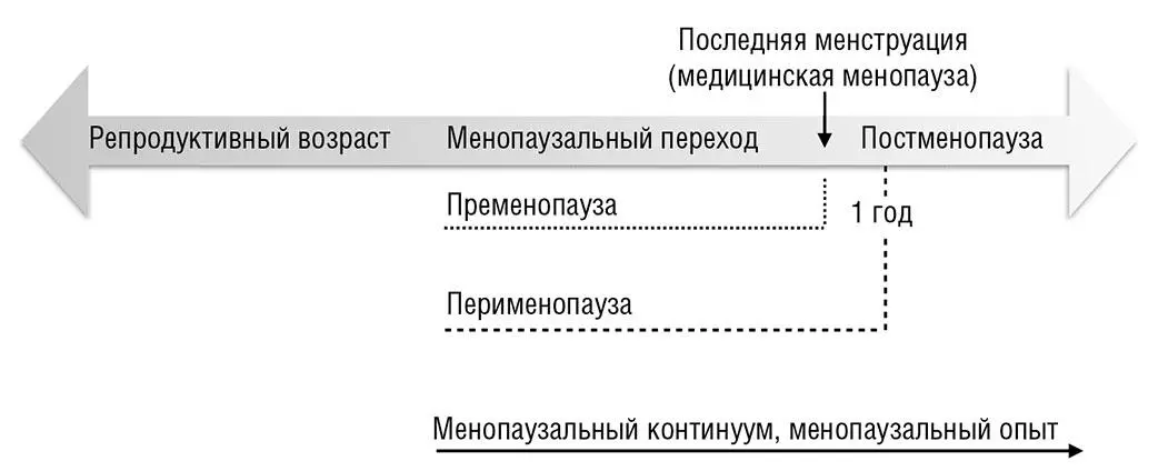 Схема 1 Фазы функционирования яичников Одной из определяющих особенностей - фото 2