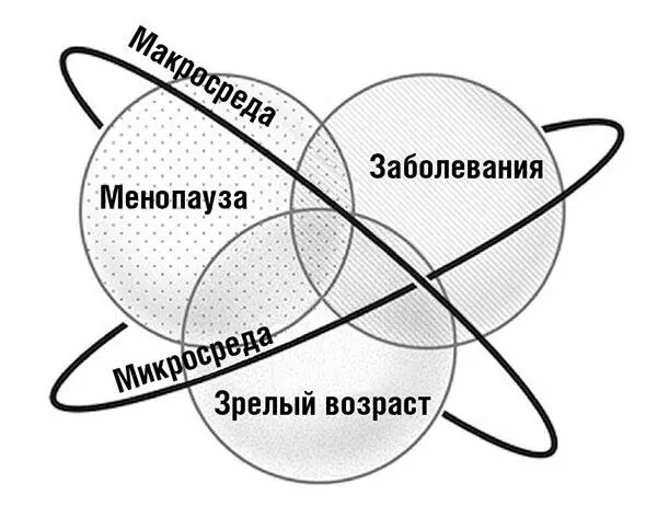 Схема 2 Мдиаграмма Менопауза в перспективе НДО связан с формированием - фото 5