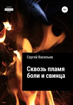 Сергей Васильев - Сквозь пламя боли и свинца
