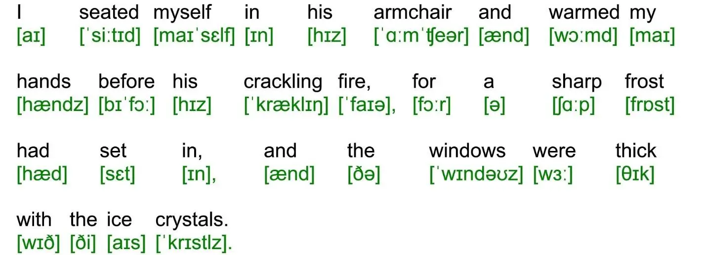 006 I seated myself in his armchair and warmed my hands before his crackling - фото 8