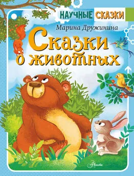 Марина Дружинина - Сказки о животных