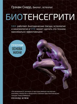 Грэхам Скарр - Биотенсегрити. Как работают Анатомические поезда, остеопатия и кинезиология и что может сделать эти техники максимально эффективными