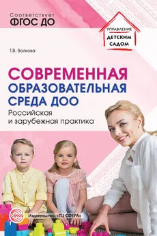 Татьяна Волкова - Современная образовательная среда ДОО. Российская и зарубежная практика