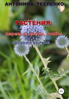 Антонина Тесленко - Растения: деревья, цветы, грибы