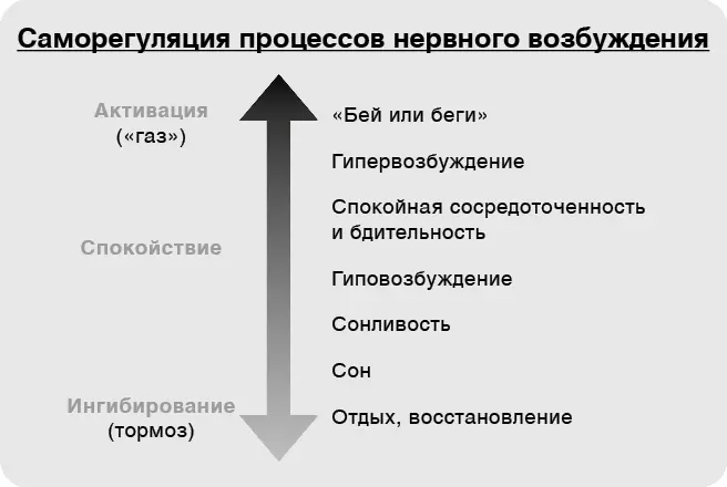 Чем более сильный стресс испытывает ребенок тем труднее его мозгу справляться - фото 4