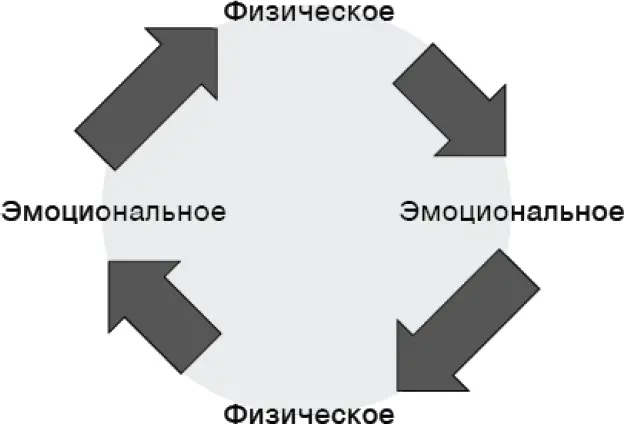 Взаимосвязь между физическим и эмоциональным состоянием И только когда цикл - фото 5
