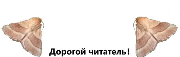 Эта сказка о вирусах которые живут рядом с нами Спрятавшись в брюшках - фото 1