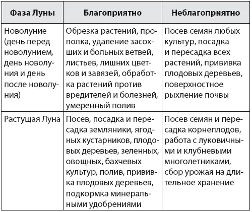 Влияние знаков зодиака на растения - фото 1