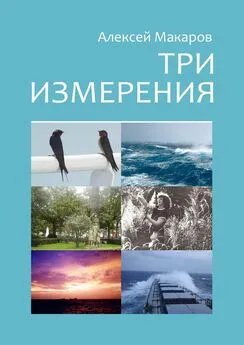 Алексей Макаров - Три измерения. Сборник рассказов