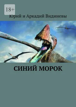 Юрий и Аркадий Видиневы - Синий морок