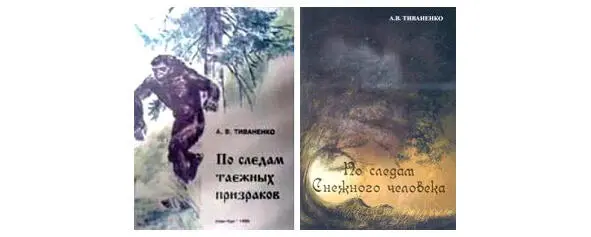 Два варианта издания книги АВТиваненко Из книги АВТиваненко Представления - фото 8