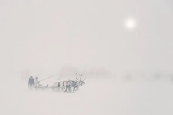 Пурга в тундре На самом севере далекой и холодной Якутии с весьма недружелюбным - фото 1