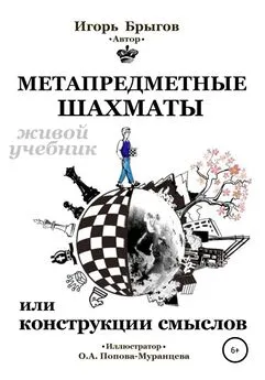Игорь Брыгов - Метапредметные шахматы или Конструкции смыслов: живой учебник