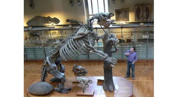Гигантский ленивец Саблезубый тигр Smilodon Существовало несколько - фото 24