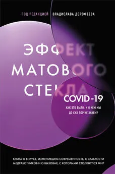 Сборник статей - Эффект матового стекла. Книга о вирусе, изменившем современность, о храбрости медработников, и о вызовах, с которыми столкнулся мир