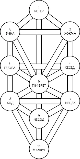 Рис 2 Древо жизни 1 Кетер 2 Хокма 3 Бина 4 Хе - фото 12