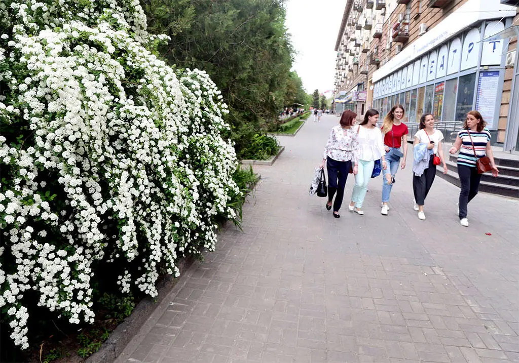 3 В Волгоград пришла весна 4 Вот что осталось от мельницы Гергардта после - фото 3