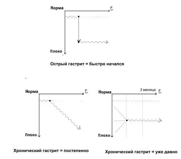 Все типы гастритов делят на острые и хронические Если с острым вопросов - фото 2