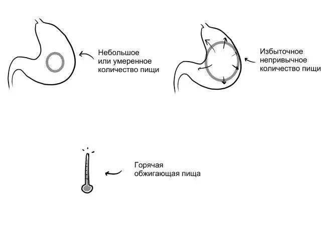 Иногда слизистая оболочка желудка повреждается высокой температурой Бывает это - фото 6