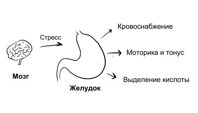 Диагностика и тем более количественное определение хронического стресса - фото 7