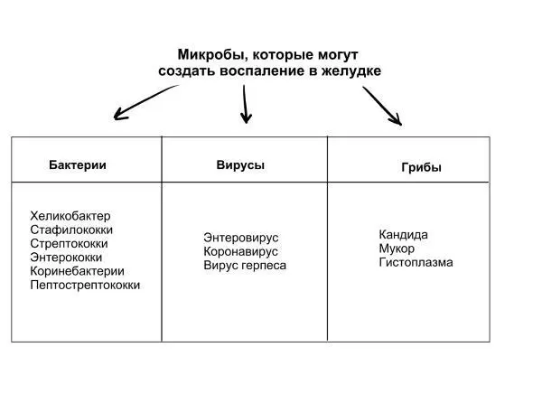 Другие грибковые причины выделенные Киотским консенсусом это мукормикоз и - фото 11