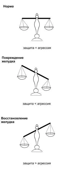 Желудочный сок содержит не только кислоту но и ферменты которые обеспечивают - фото 13