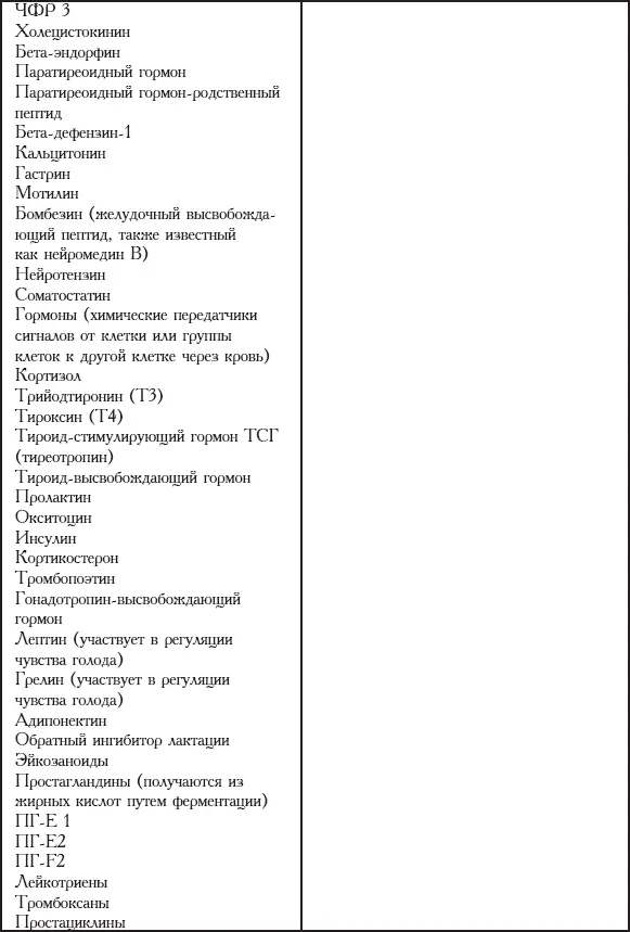 Строение молочной железы Не имеет значения размер груди молоко в любом случае - фото 4