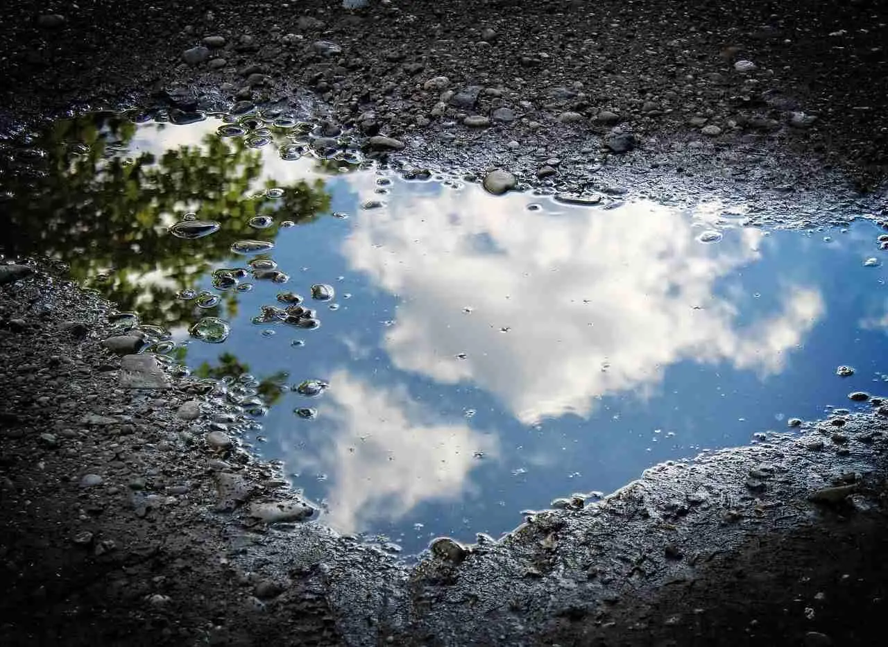 Fig 142 Four of Disks Simple natural form of Matter An ordinary puddle - фото 35