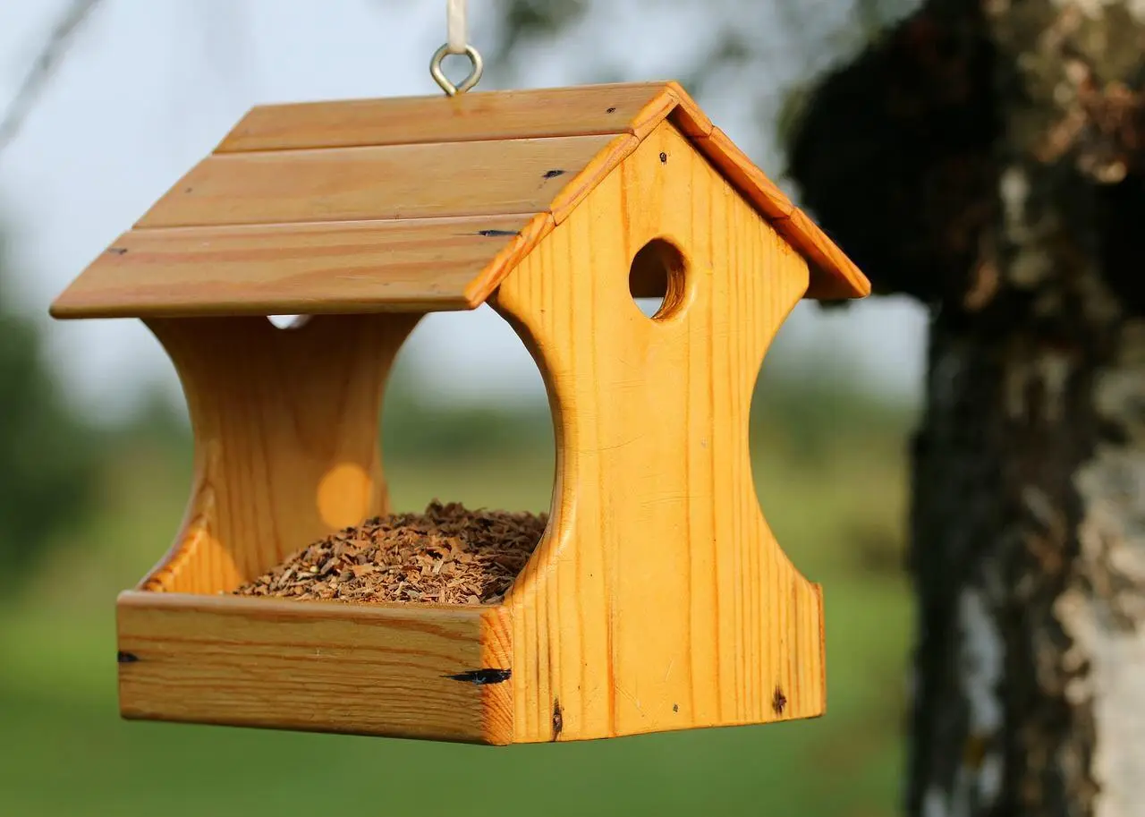Figure 156 Five of Disks Storage or source of Matter Bird feeder - фото 47