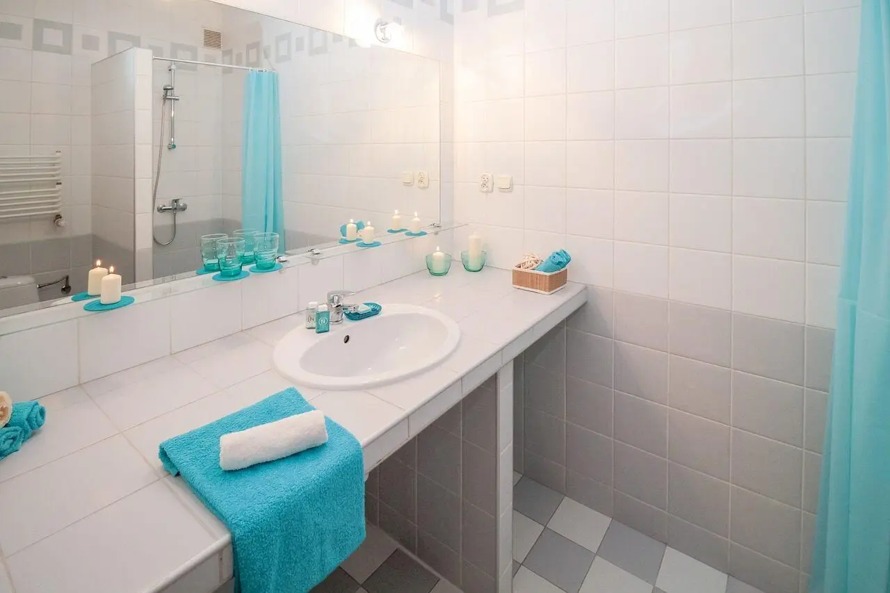 Fig 172 Seven of Disks A washbasin A shower A toilet Plumbing Rain - фото 59