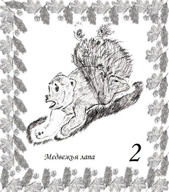 Карта 2 Медведь не просто так делает ноги он понимает что против холодного - фото 3