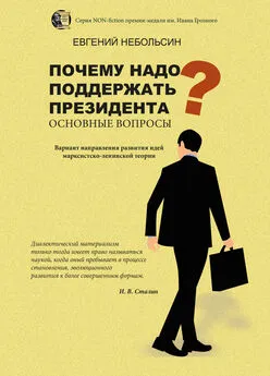 Евгений Небольсин - Почему надо поддержать президента? Основные вопросы