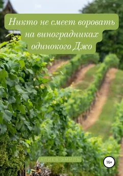 Эмиль Алиев - Никто не смеет воровать на виноградниках одинокого Джо