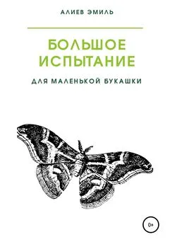 Эмиль Алиев - Большое испытание для маленькой букашки