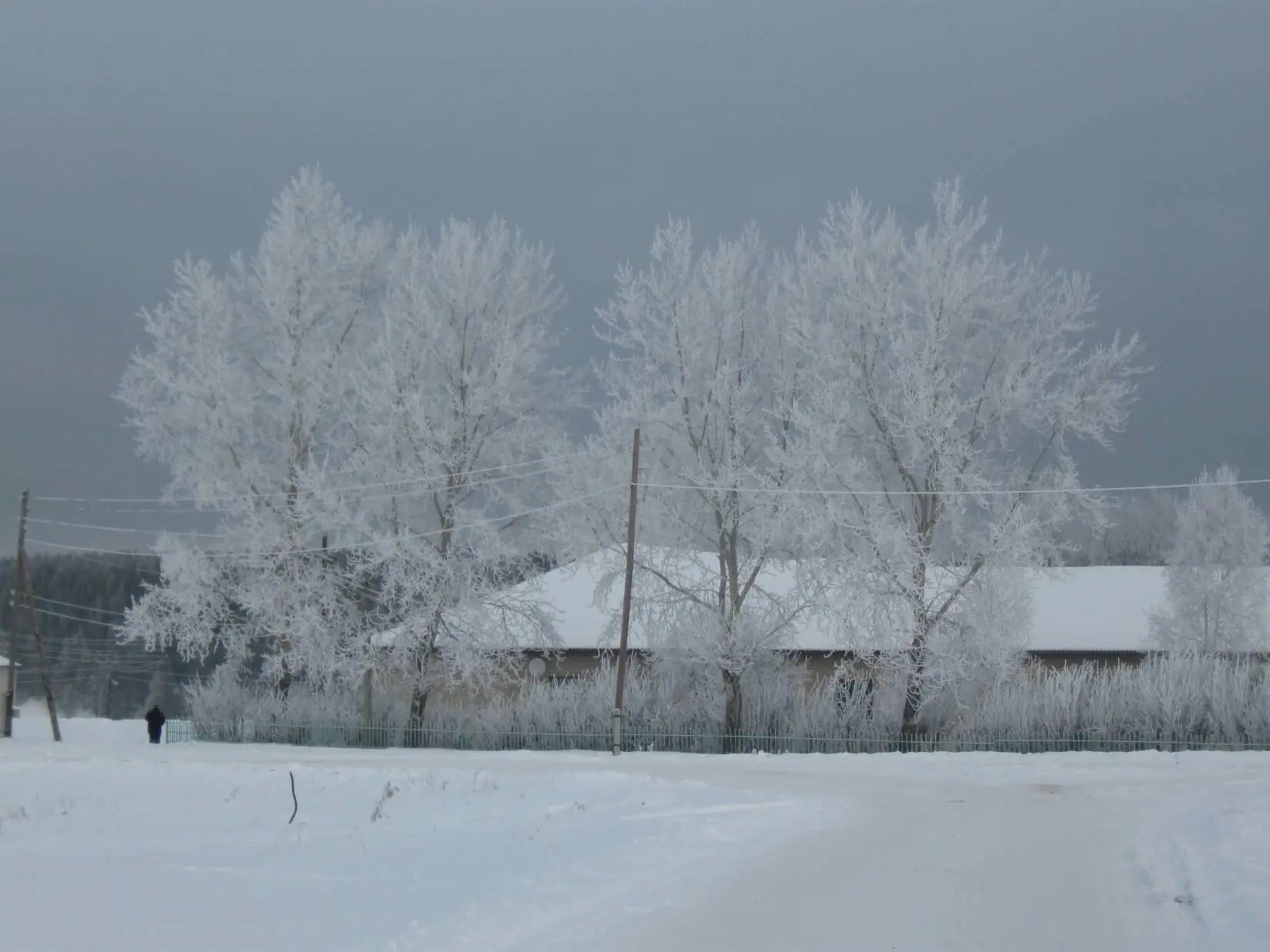 В поле Тишина и в поле Шум услышишь вряд ли Ветер со снегом споря Стог - фото 2