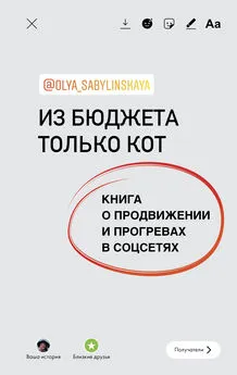 Оля Сабылинская - Из бюджета только кот. Книга о продвижении и прогревах в социальных сетях